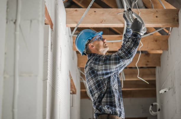 Best Ceiling Fan Installation Electrician  in Buchanan, MI